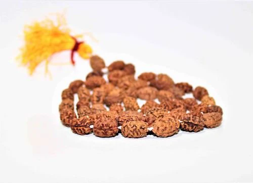 2 Mukhi Rudraksha Mala