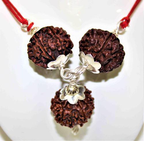 7,8 & 12 Mukhi Rudraksha Combination For (Founders & Businessmen) - Image 3