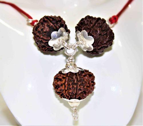 7,8 & 12 Mukhi Rudraksha Combination For (Founders & Businessmen) - Image 4