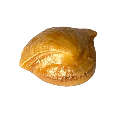 Machmani - 16.75 carat - Image 3