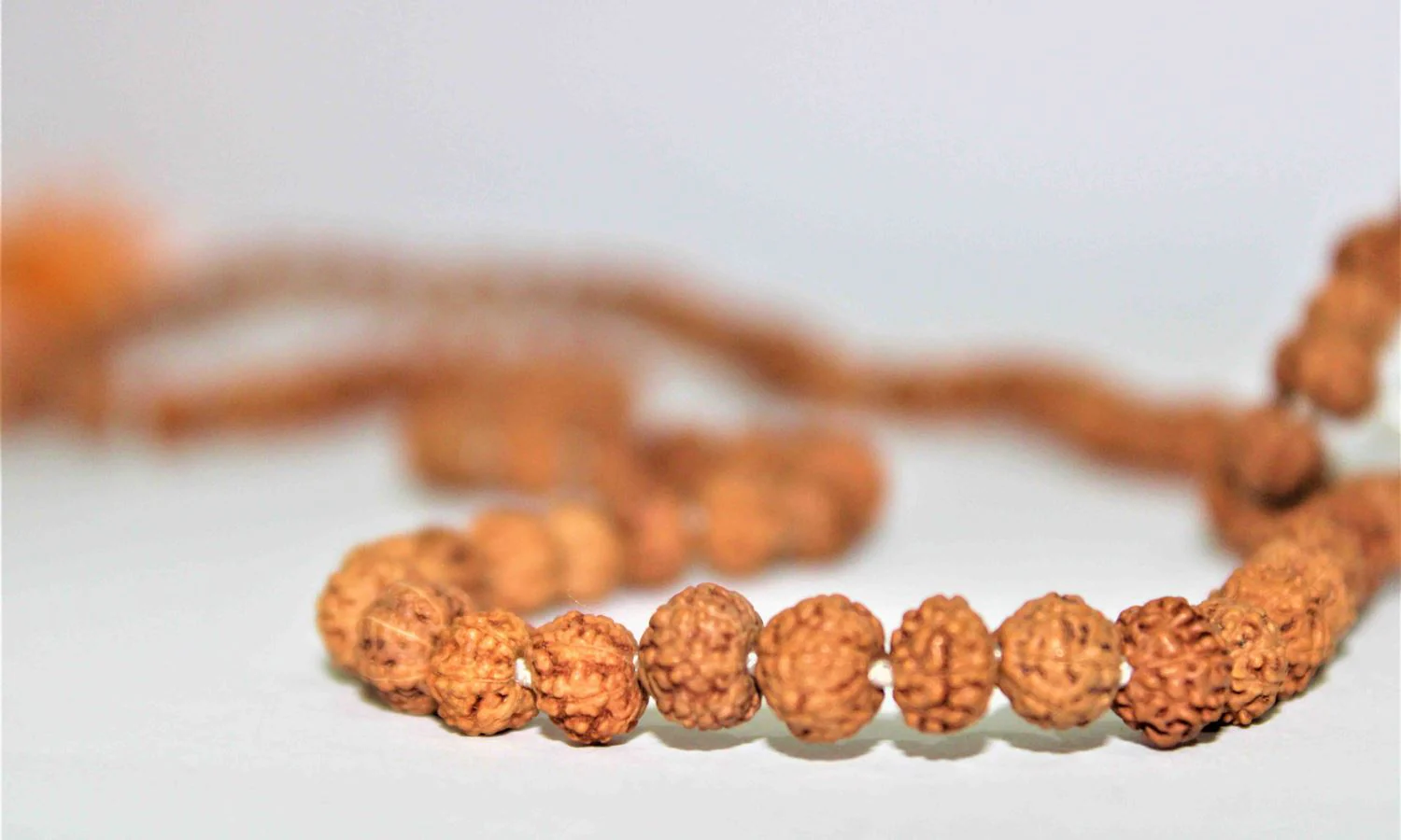 Natural 7 Mukhi Rudraksh Mala -Indonesian Origin (108+1) Beads - Image 3