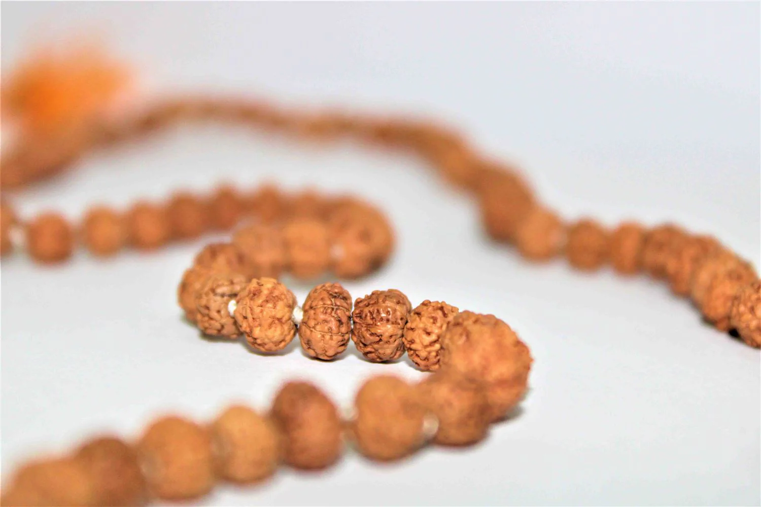 Natural 7 Mukhi Rudraksh Mala -Indonesian Origin (108+1) Beads - Image 6
