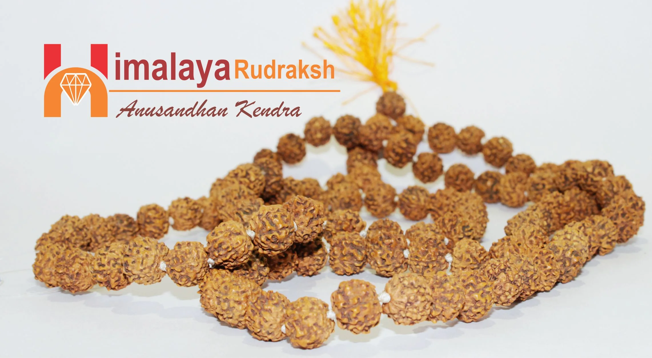 Natural 7 Mukhi Rudraksh Mala -Indonesian Origin (108+1) Beads - Image 7